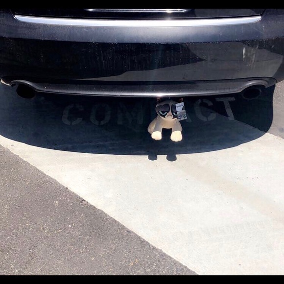 Meet your Posher, - Picture 1 of 1